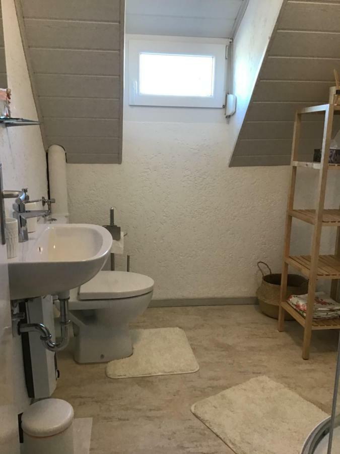 Ferienwohnung Elina Maxhutte-Haidhof Exteriör bild